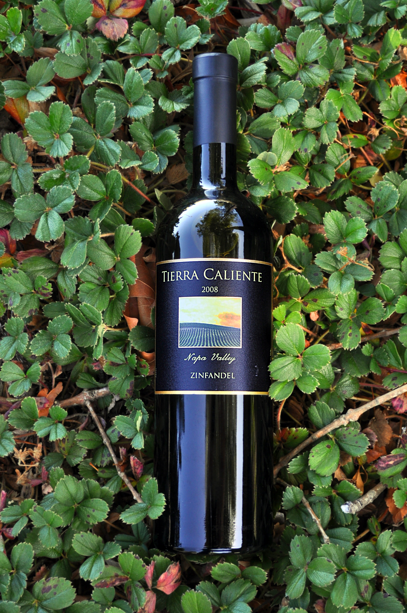 Tierra Caliente Cellars 2008 Napa Valley Zinfandel 750ml Wine Bottle