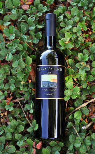 Tierra Caliente Cellars 2008 Napa Valley Zinfandel 750ml Wine Bottle
