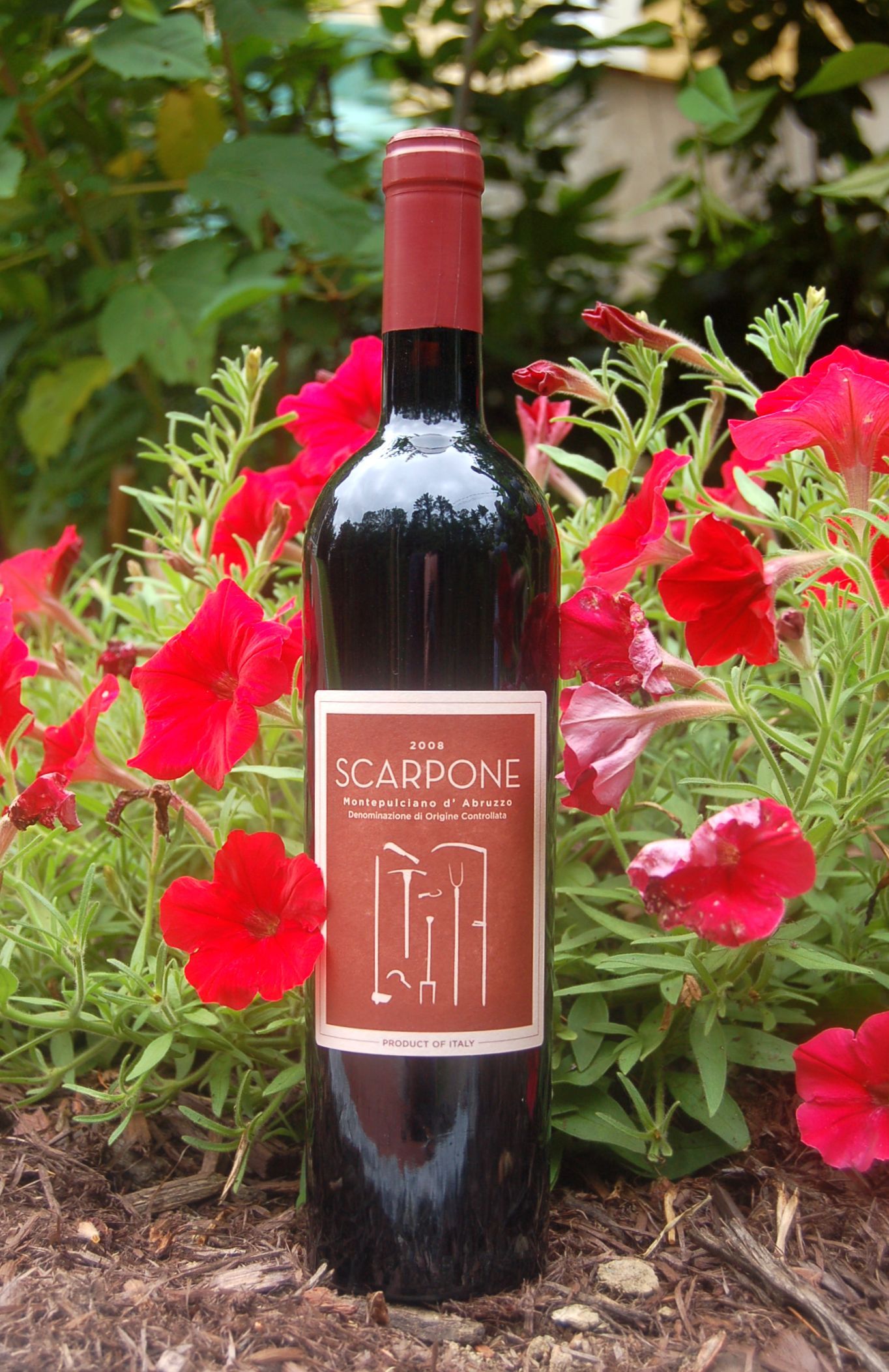Locanda Scarpone 2008 Montepulciano d'Abruzzo D.O.C. 750ml Wine Bottle