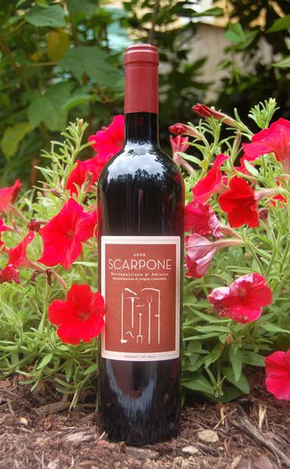Locanda Scarpone 2008 Montepulciano d'Abruzzo D.O.C. 750ml Wine Bottle