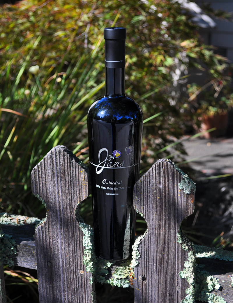 Jana Wines 2005 Jana Cathedral Napa Valley Bordeaux Blend 750ml Wine Bottle