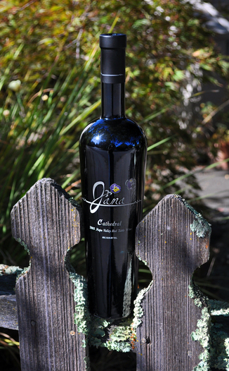 Jana Wines 2005 Jana Cathedral Napa Valley Bordeaux Blend 750ml Wine Bottle