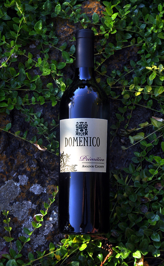 Domenico Wines 2007 Amador County Primitivo 750ml Wine Bottle