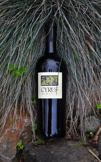 Alexander Valley Vineyards 2006 Cyrus 750ml Wine Bottle
