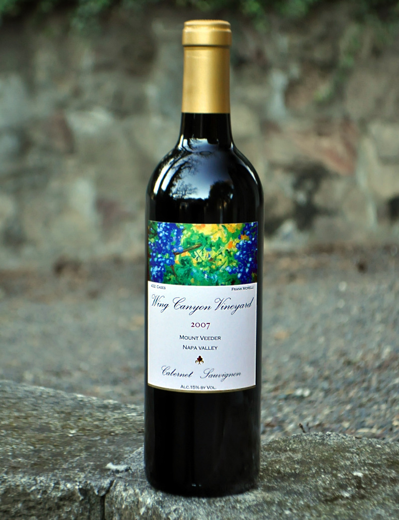Wing Canyon Vineyard 2007 Estate Cabernet Sauvignon 750ml Wine Bottle