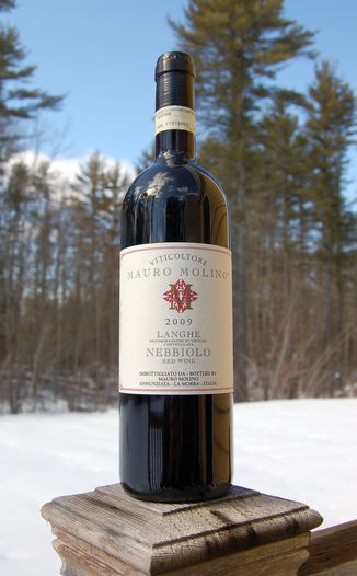 Viticoltore Mauro Molino 2009 Langhe Nebbiolo DOC 750ml Wine Bottle