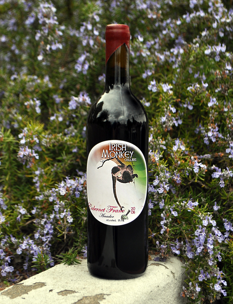 Irish Monkey Cellars 2008 Lodi Cabernet Franc 750ml Wine Bottle