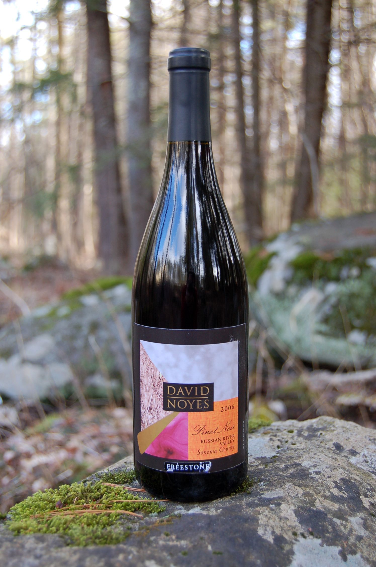 David Noyes Wines 2006 Russian River Valley Pinot Noir 750ml Wine Bottle