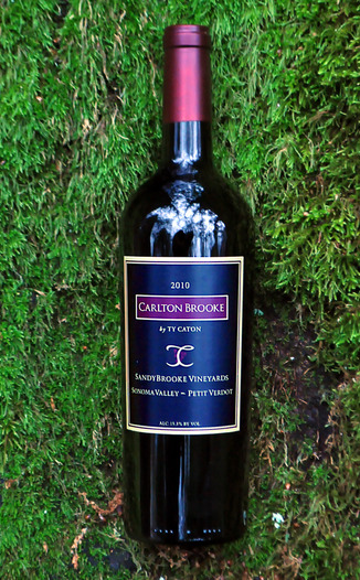 Ty Caton 2010 Carlton Brooke Petit Verdot 750ml Wine Bottle