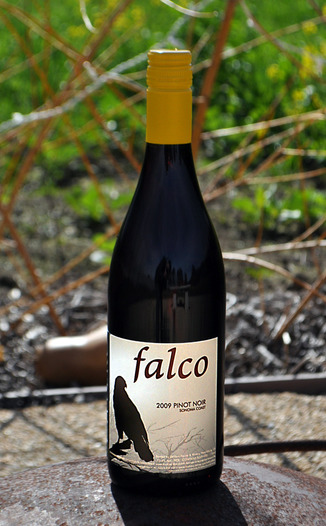 DaVero Sonoma 2009 Falco Sonoma Coast Pinot Noir 750ml Wine Bottle