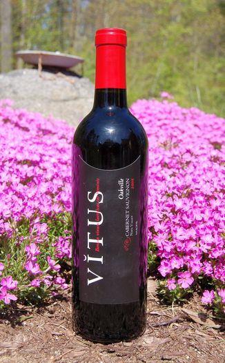Vitus Wines 2008 Oakville Cabernet Sauvignon 750ml Wine Bottle