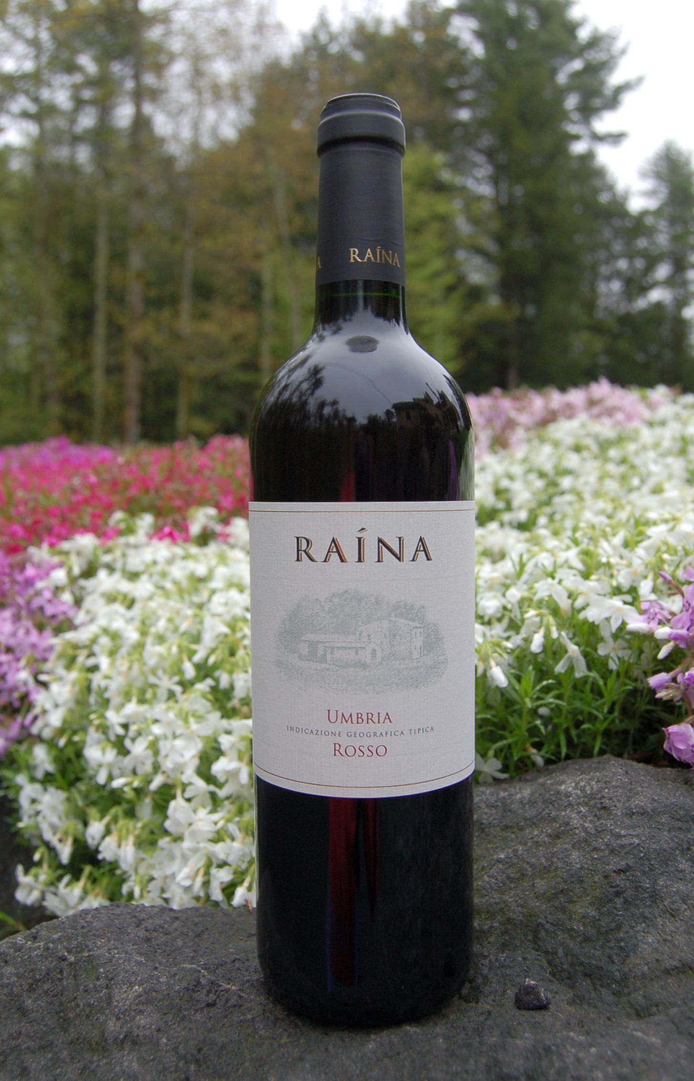 Raina - Francesco Mariani 2009 Umbria Rosso IGT 750ml Wine Bottle