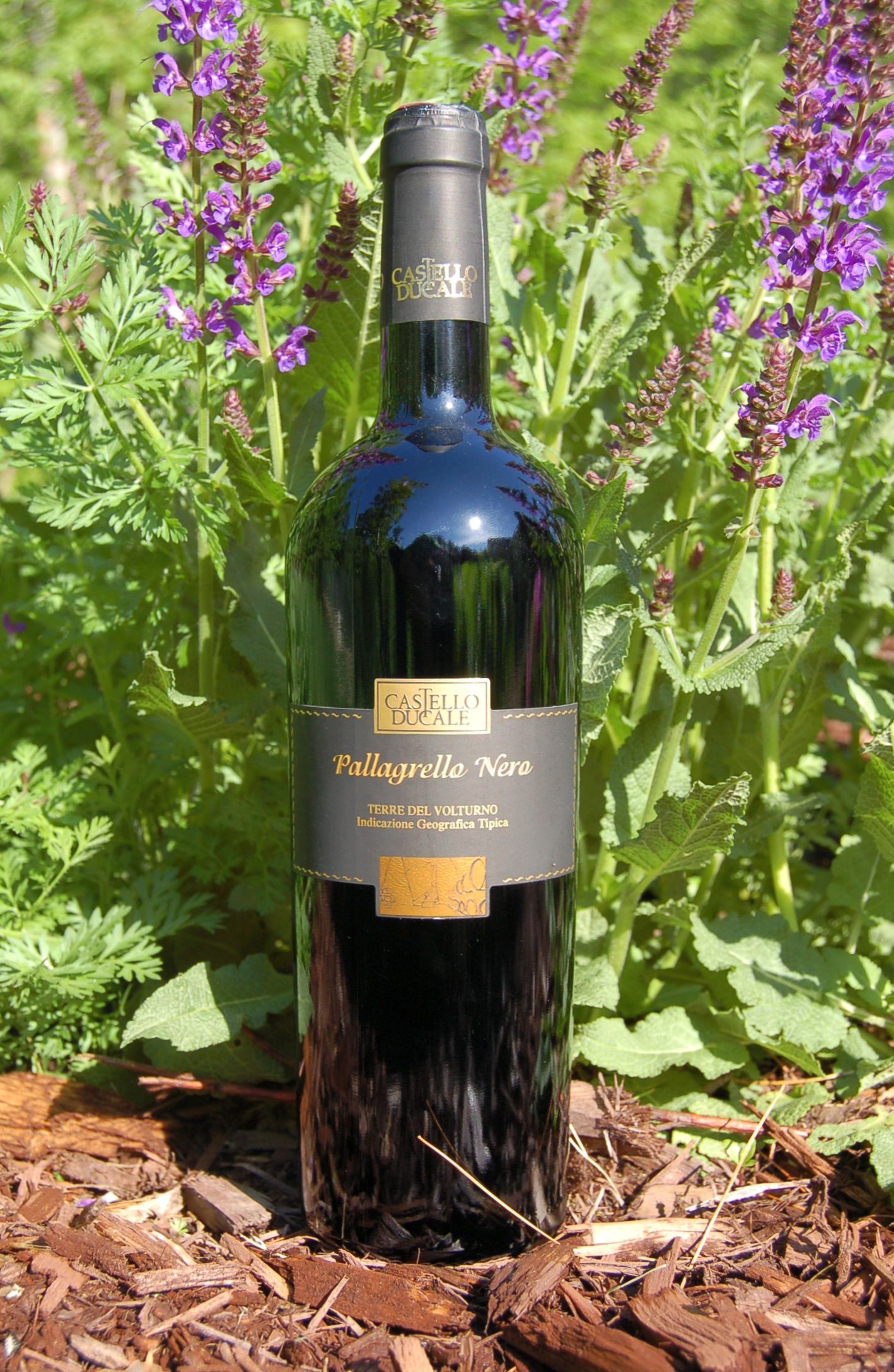 Castello Ducale 2007 Pallagrello Nero - Terre del Volturno IGT 750ml Wine Bottle