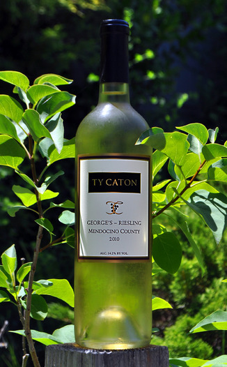 Ty Caton 2010 George's Riesling 750ml Wine Bottle