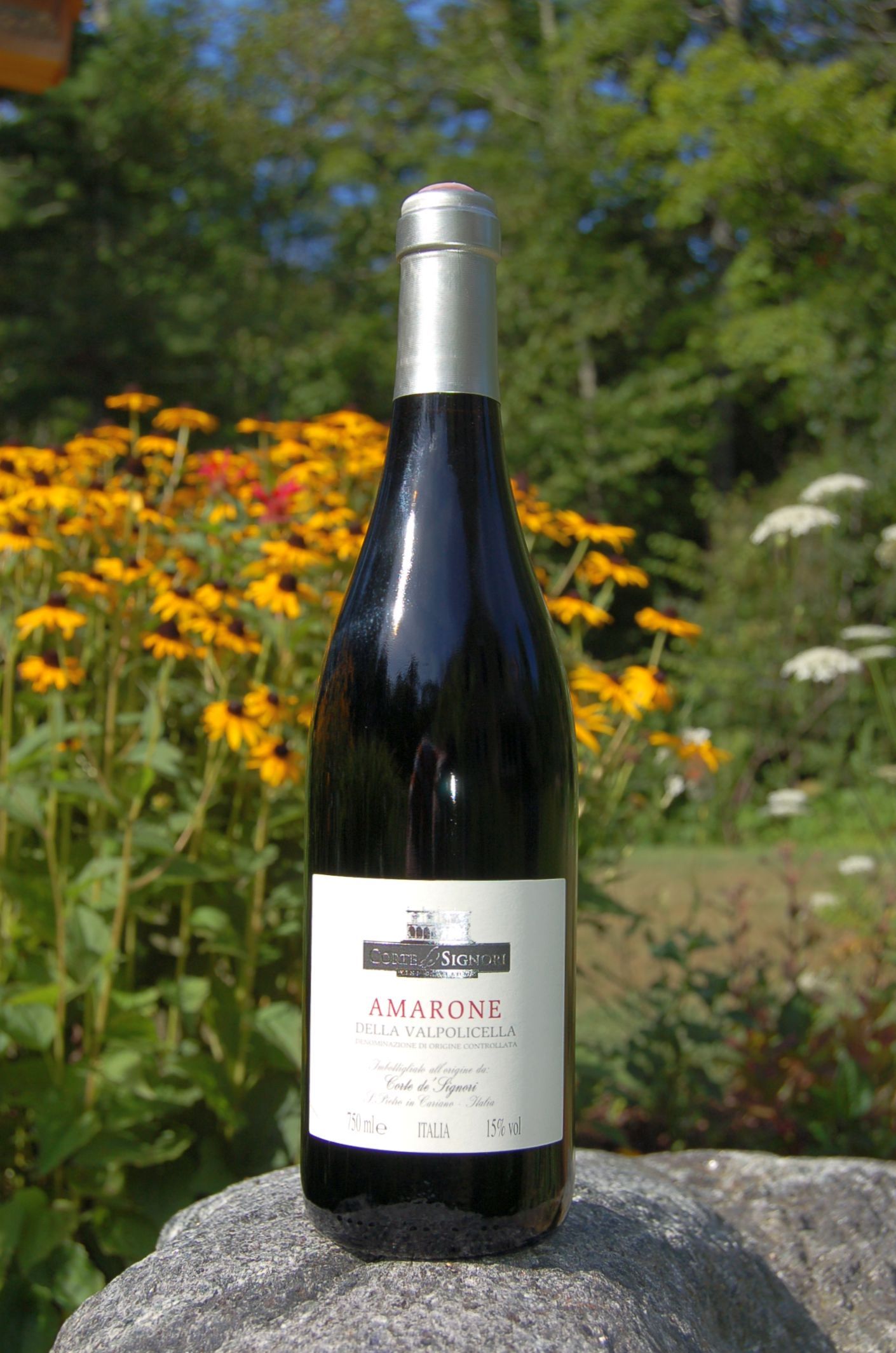 Corte de Signori 2005 Amarone della Valpolicella DOC 750ml Wine Bottle