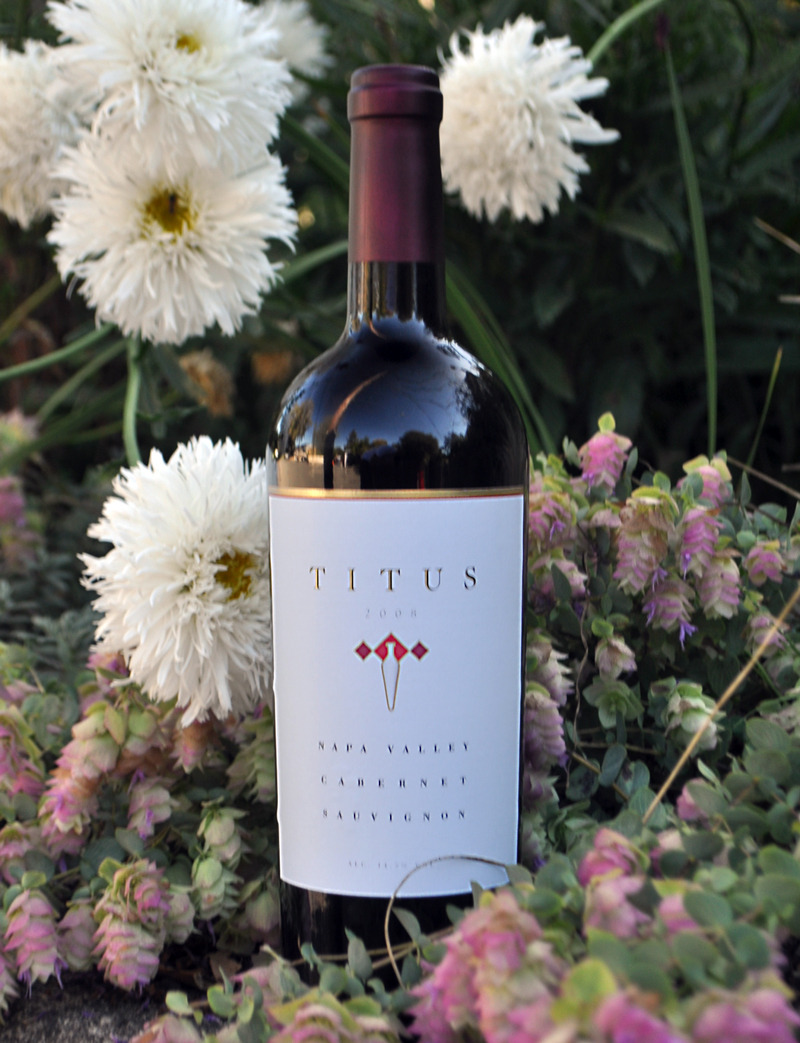 Titus Vineyards 2008 Cabernet Sauvignon 750ml Wine Bottle