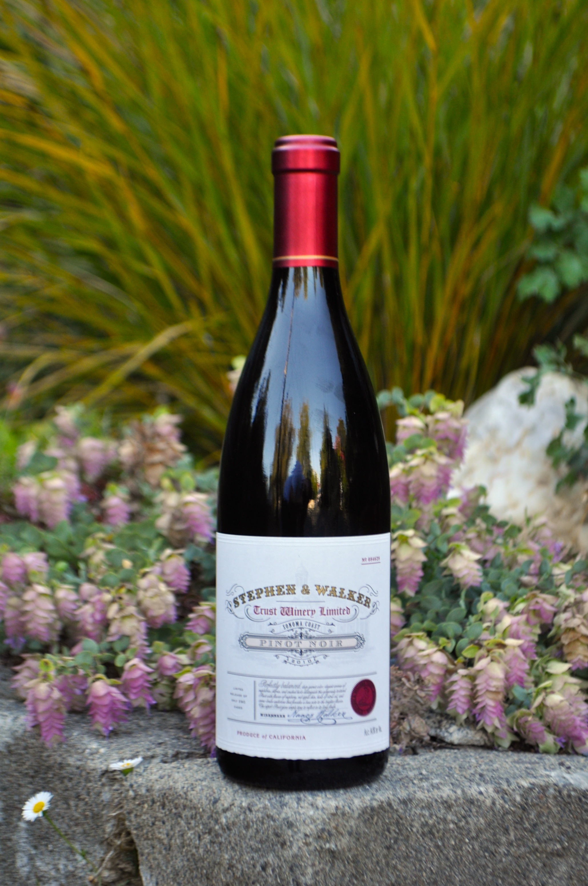 Stephen & Walker 2010 Sonoma Coast Pinot Noir 750ml Wine Bottle