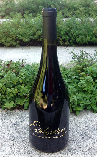 Canihan 2008 Exuberance Pinot Noir 750ml Wine Bottle