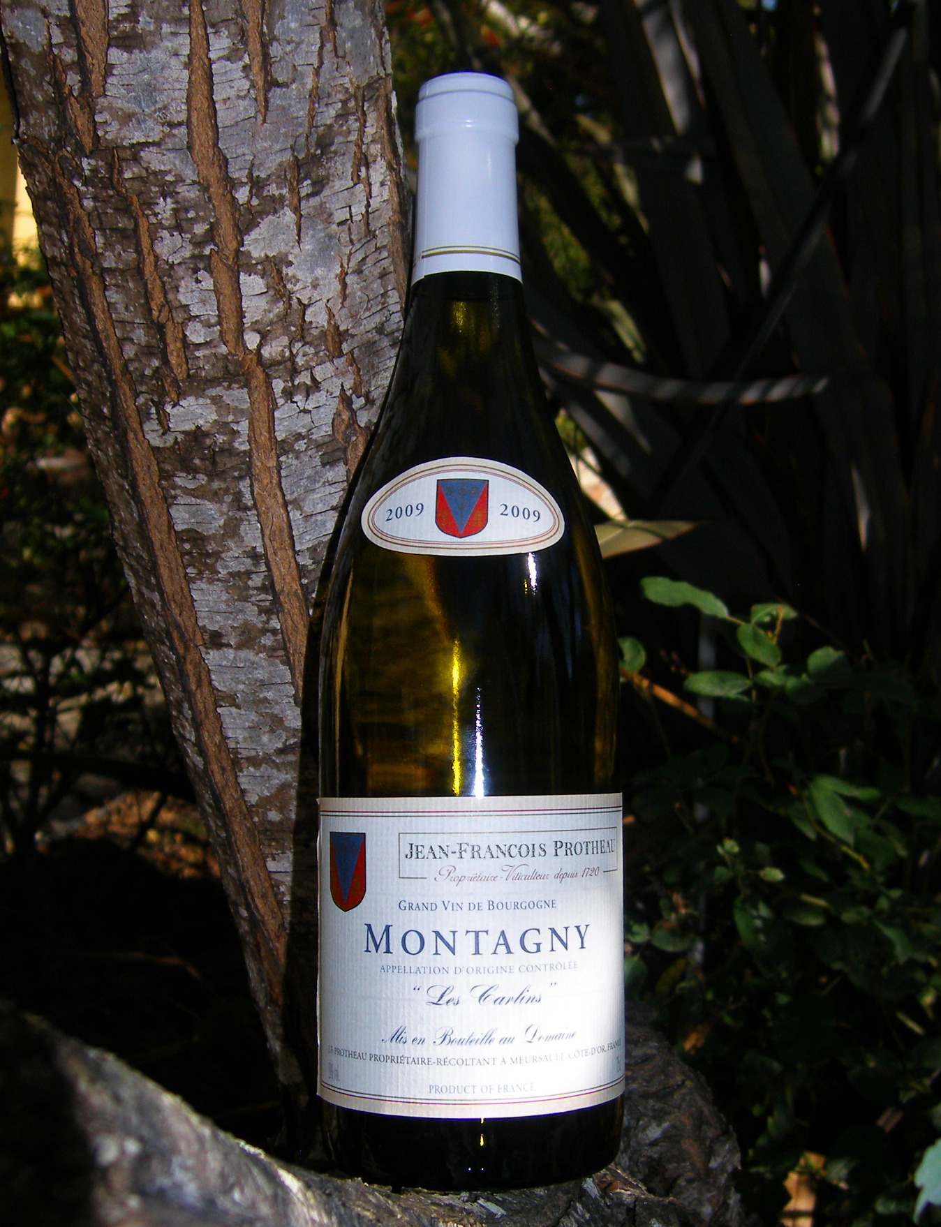 Domaine Jean-Francois Protheau 2009 "Les Carlins" Montagny Burgundy 750ml Wine Bottle