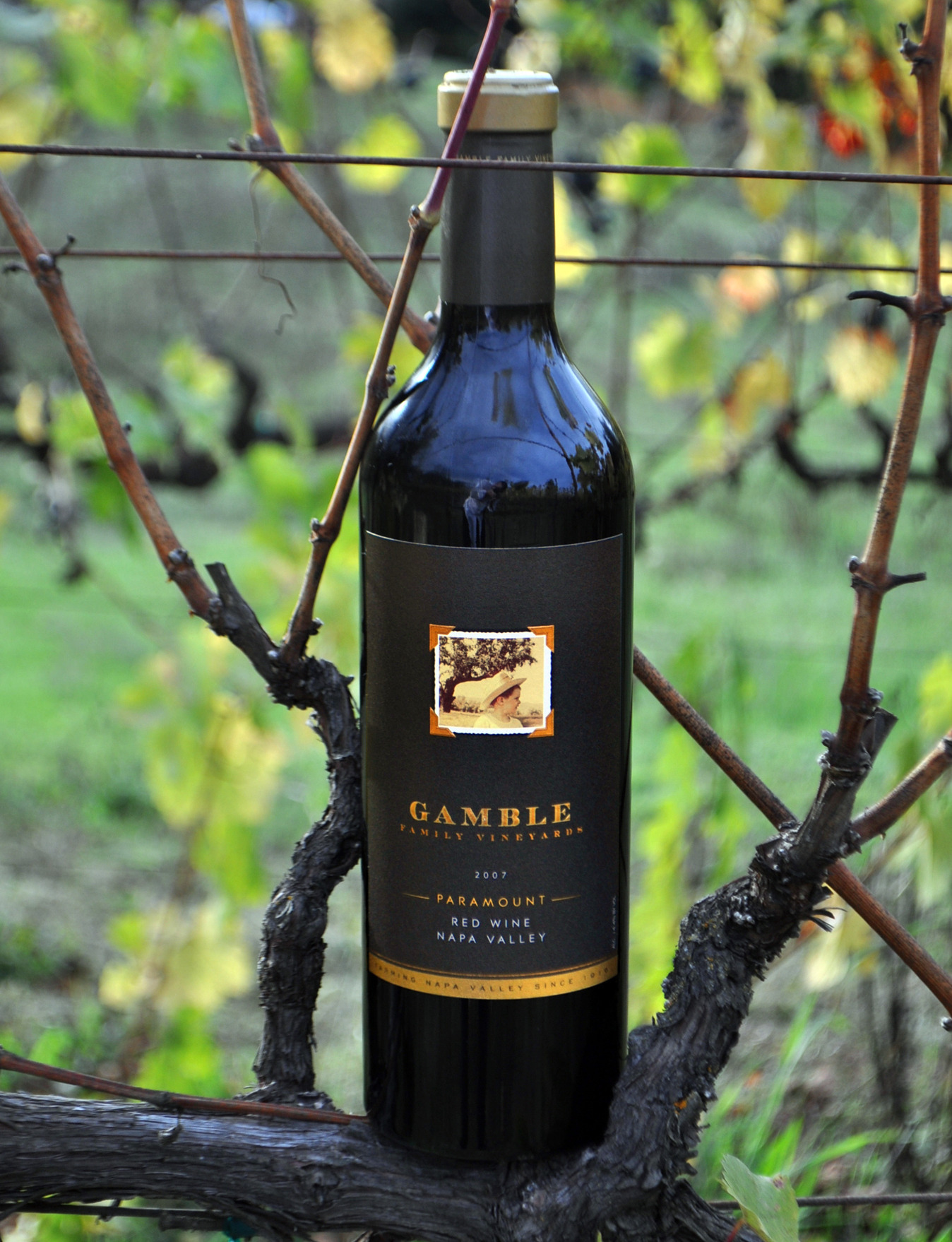 Gamble Family Vineyards 2007 Paramount Bordeaux Blend 750ml Wine Bottle