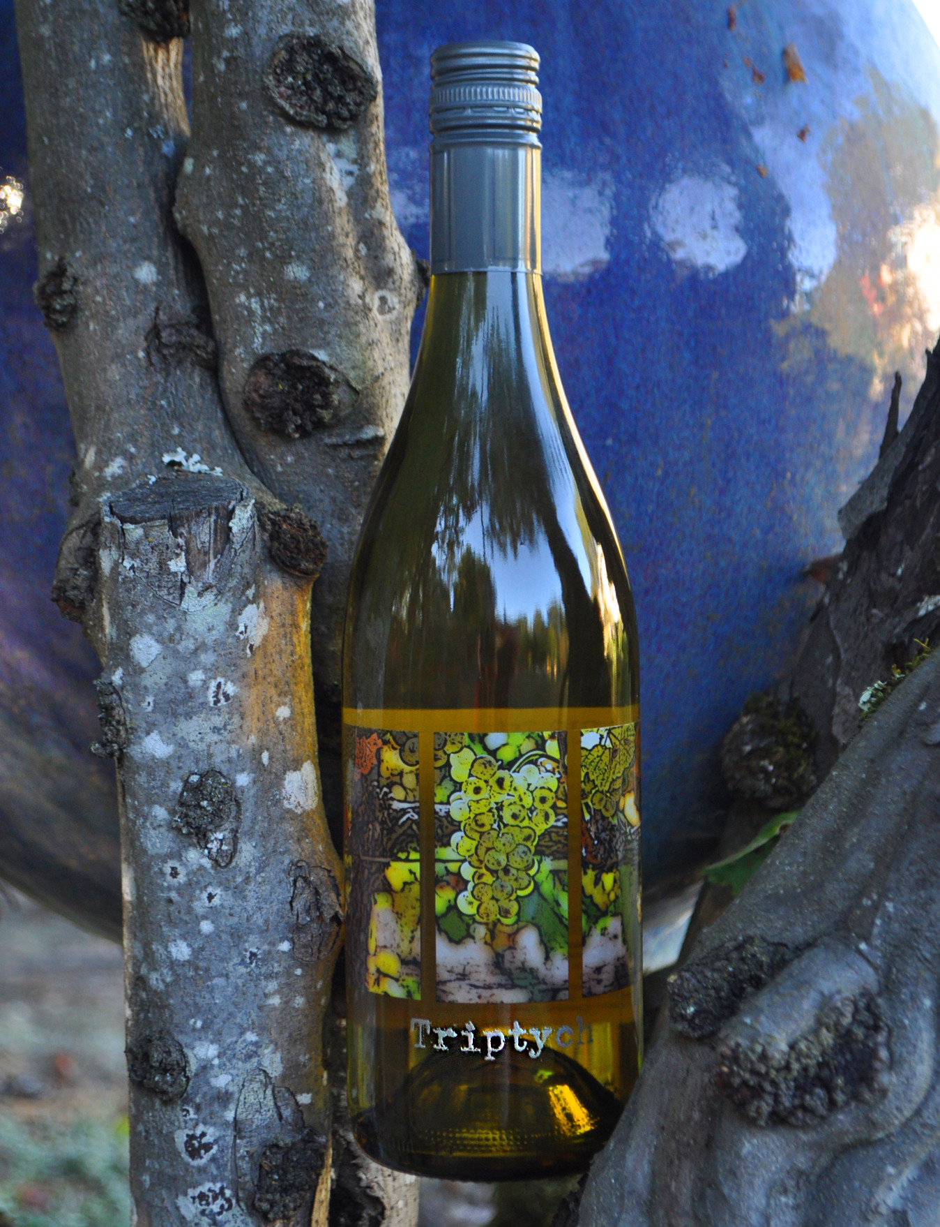 Broken Earth Winery 2010 Triptych White Blend 750ml Wine Bottle