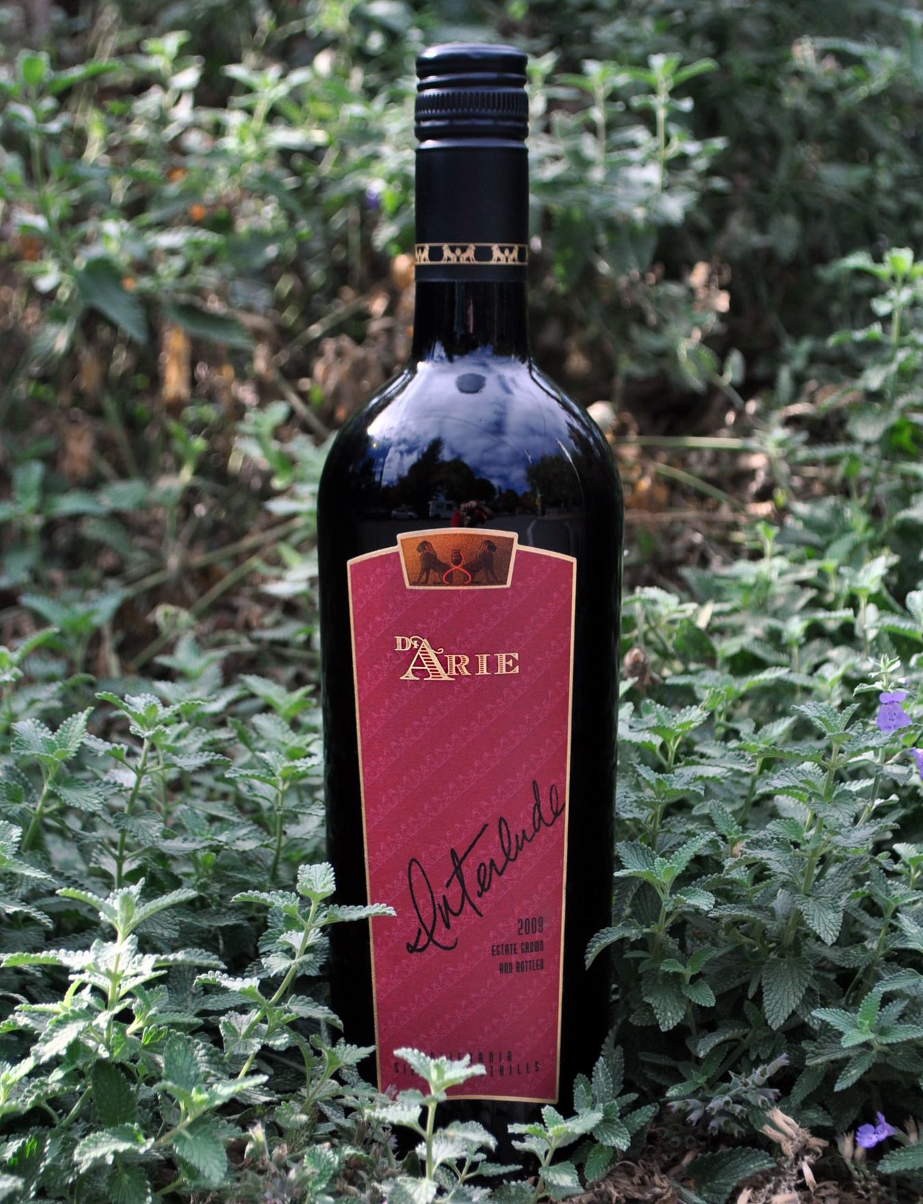 C.G. Di Arie Vineyards and Winery 2009 Interlude Red Blend 750ml Wine Bottle