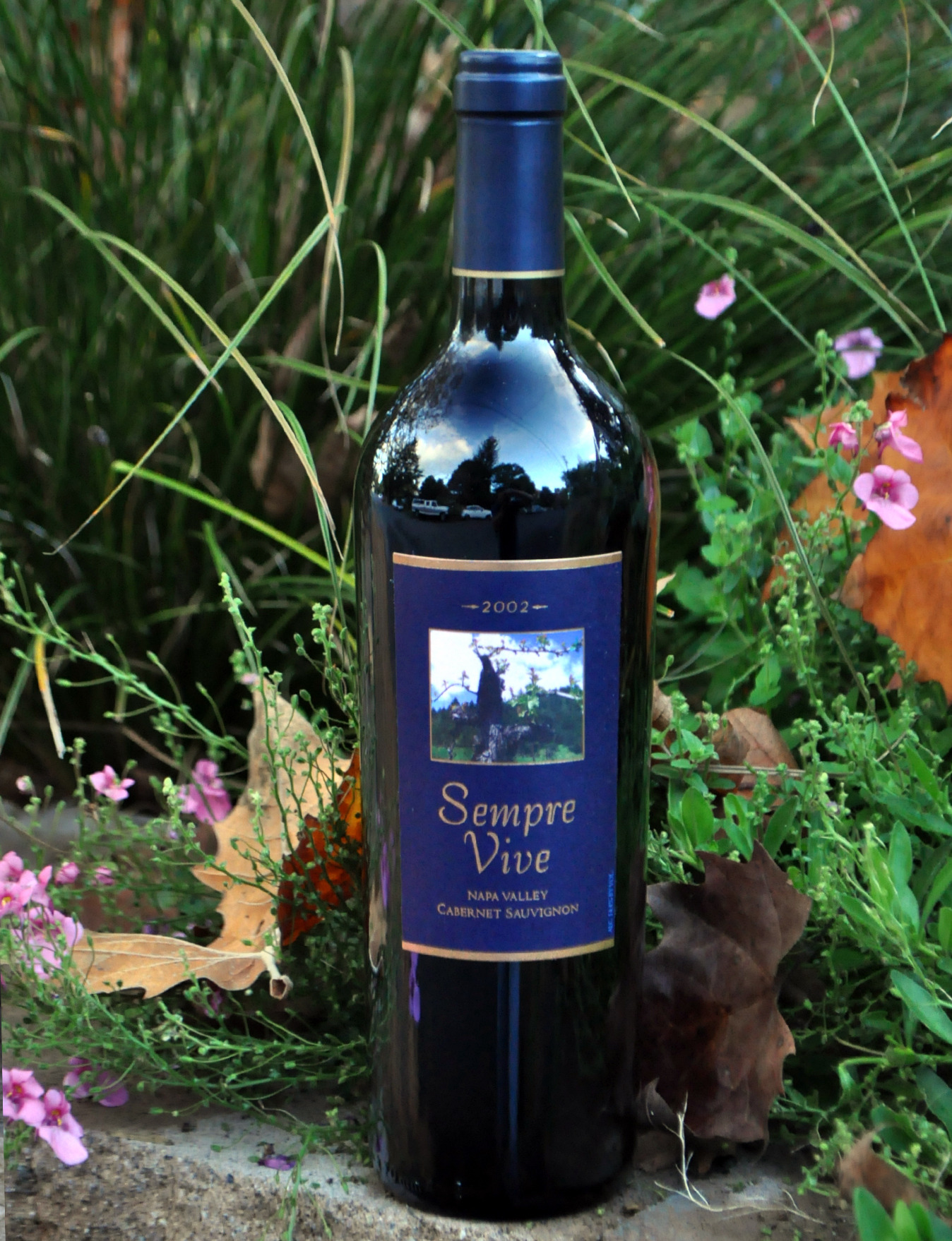 Romeo Vineyards 2002 Cabernet Sauvignon 750ml Wine Bottle