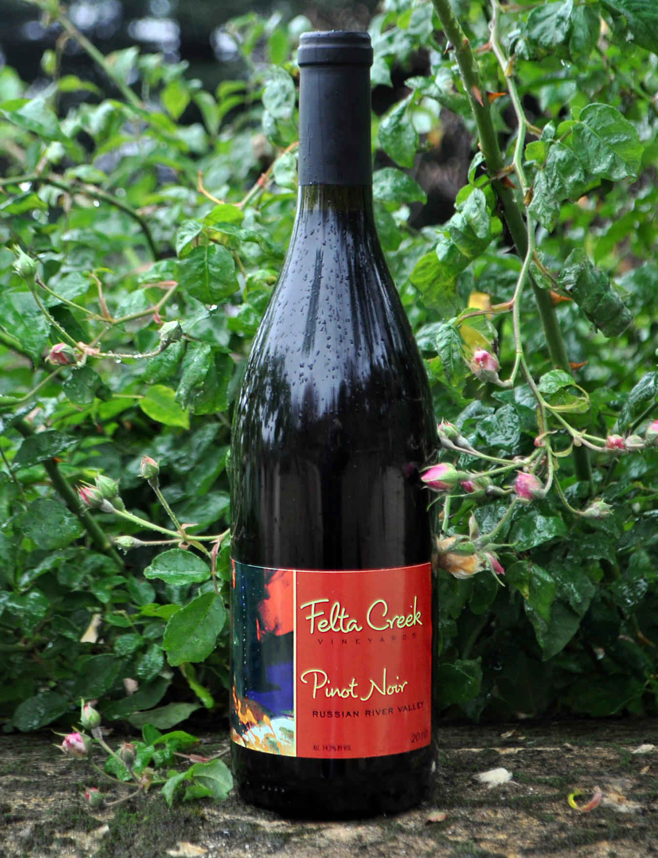 De La Montanya Estate 2010 Felta Creek Pinot Noir 750ml Wine Bottle