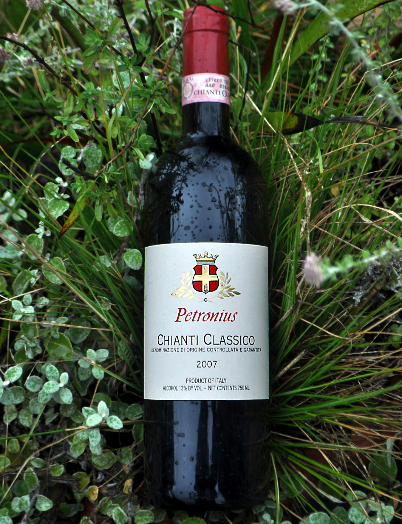 Petronius Wines 2007 Chianti Classico 750ml Wine Bottle