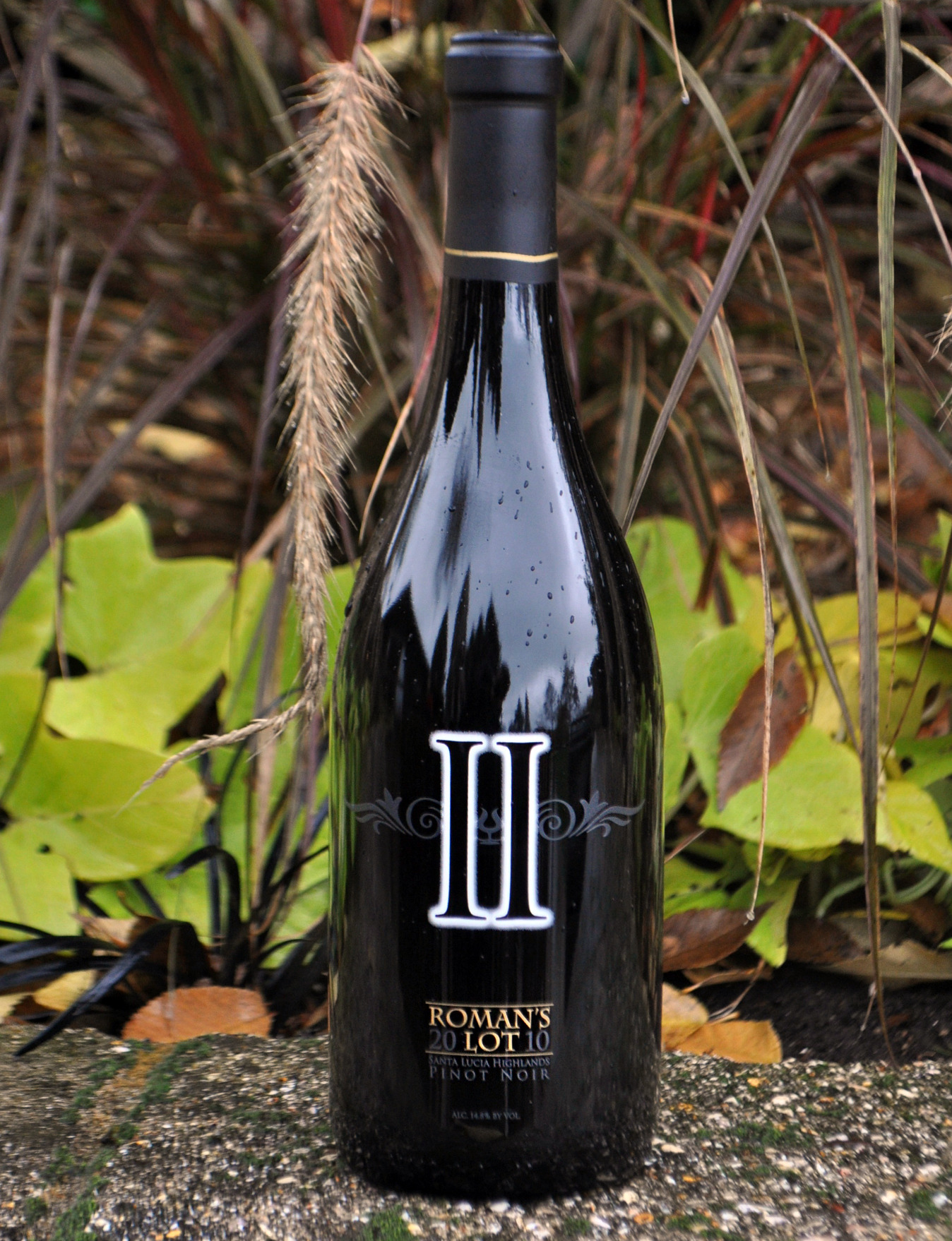 Coleman Nicole 2010 Roman's Lot II Pinot Noir 750ml Wine Bottle