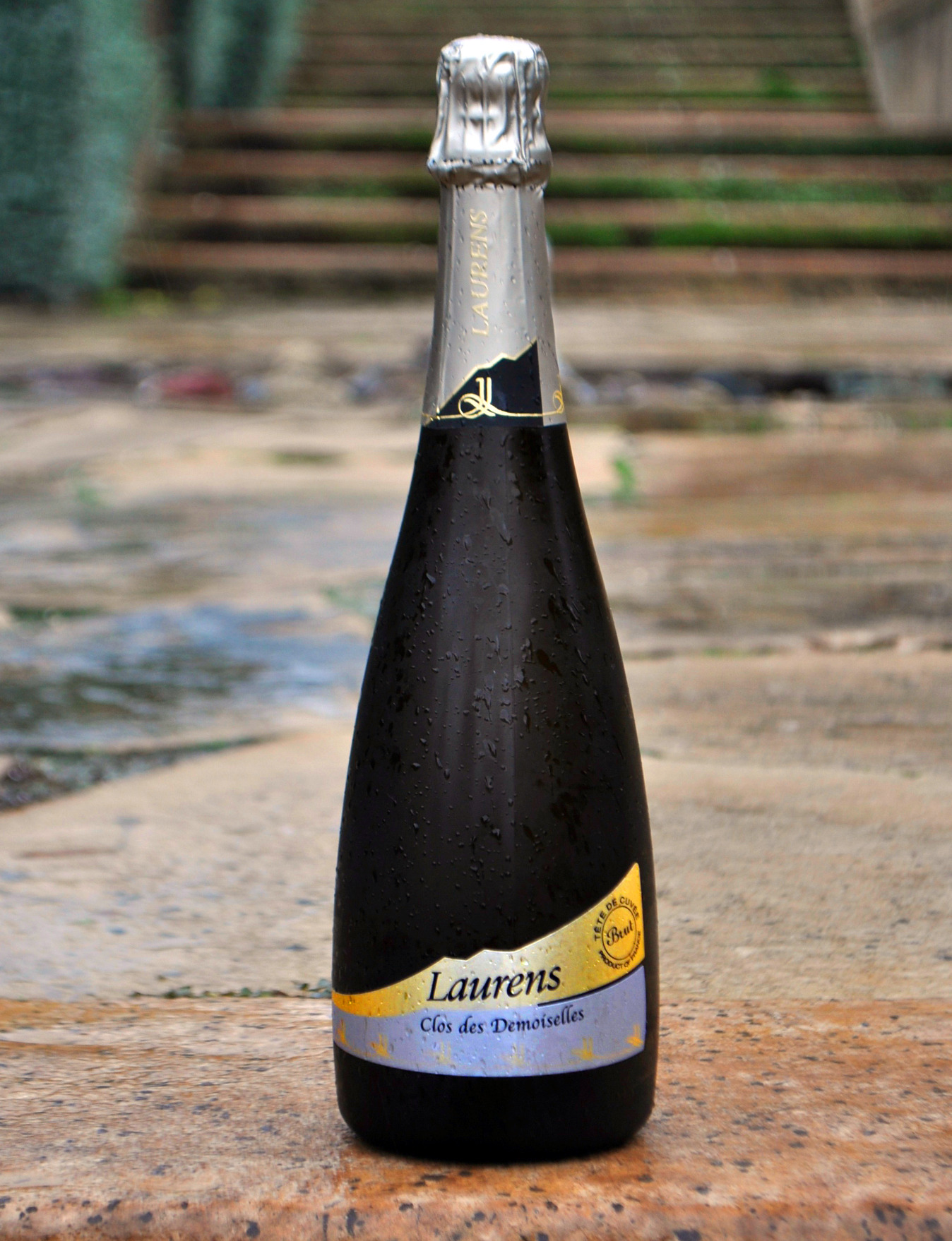 Domaine J. Laurens 2008 Le Clos des Demoiselles 750ml Wine Bottle