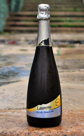 Domaine J. Laurens 2008 Le Clos des Demoiselles 750ml Wine Bottle