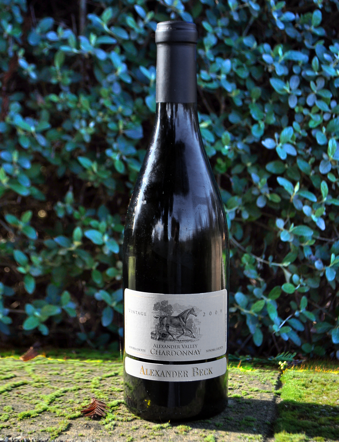 Alexander Beck Cellars 2009 Chardonnay 750ml Wine Bottle