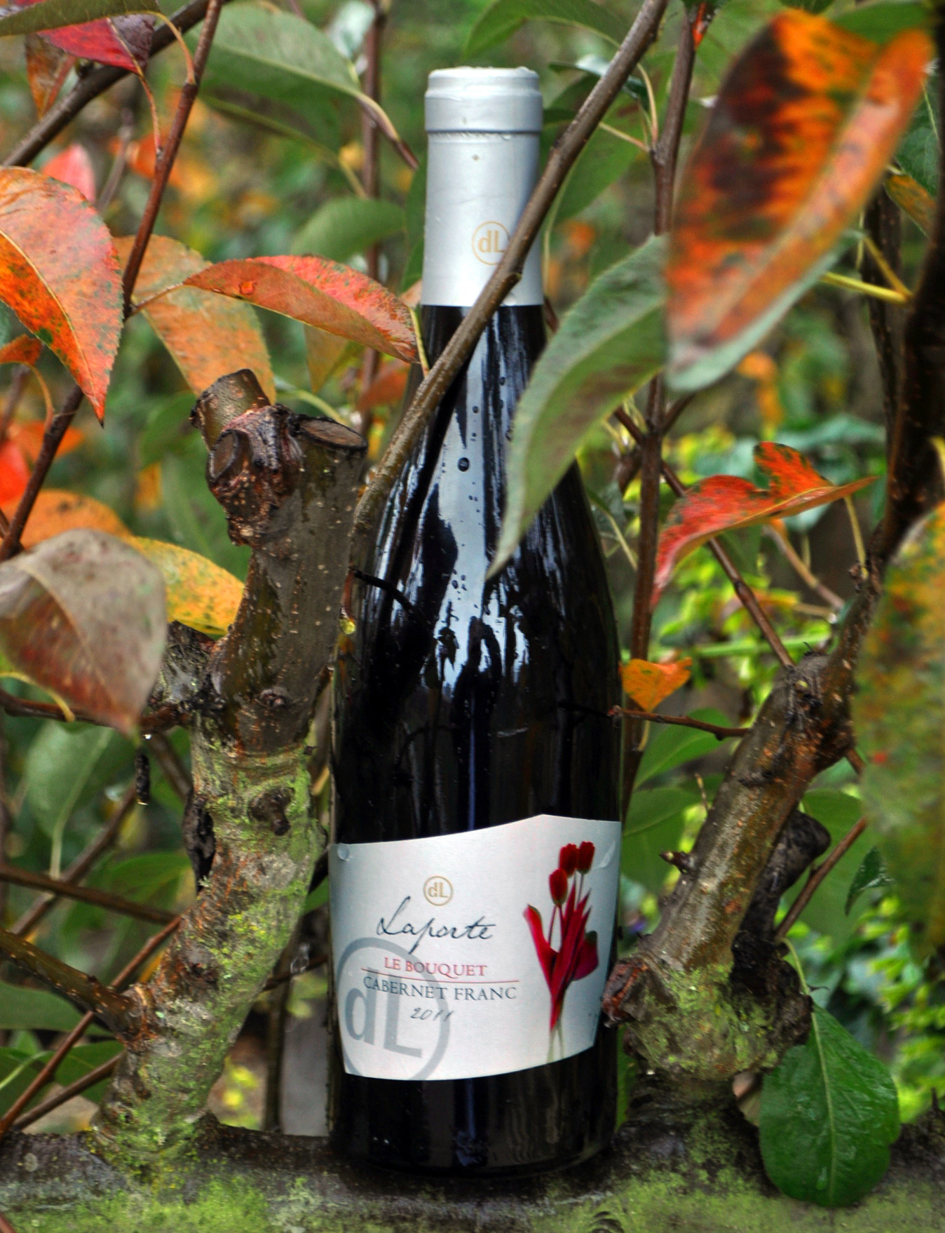 Domaine Laporte 2011 "Le Bouquet" Cabernet Franc 750ml Wine Bottle