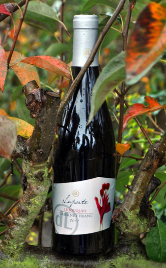 Domaine Laporte 2011 "Le Bouquet" Cabernet Franc 750ml Wine Bottle