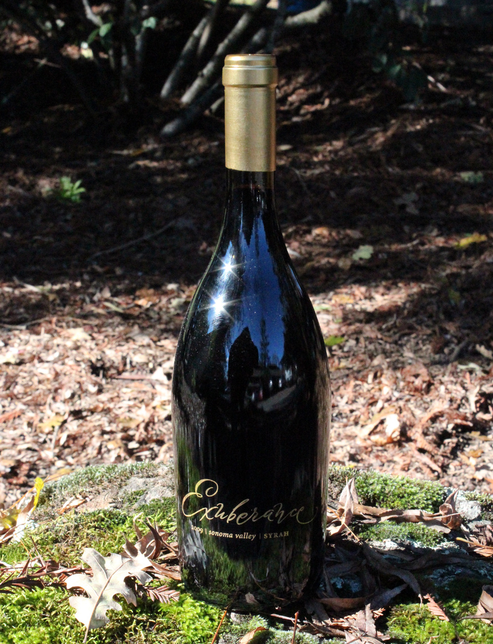 Canihan 2009 Exuberance Syrah 750ml Wine Bottle