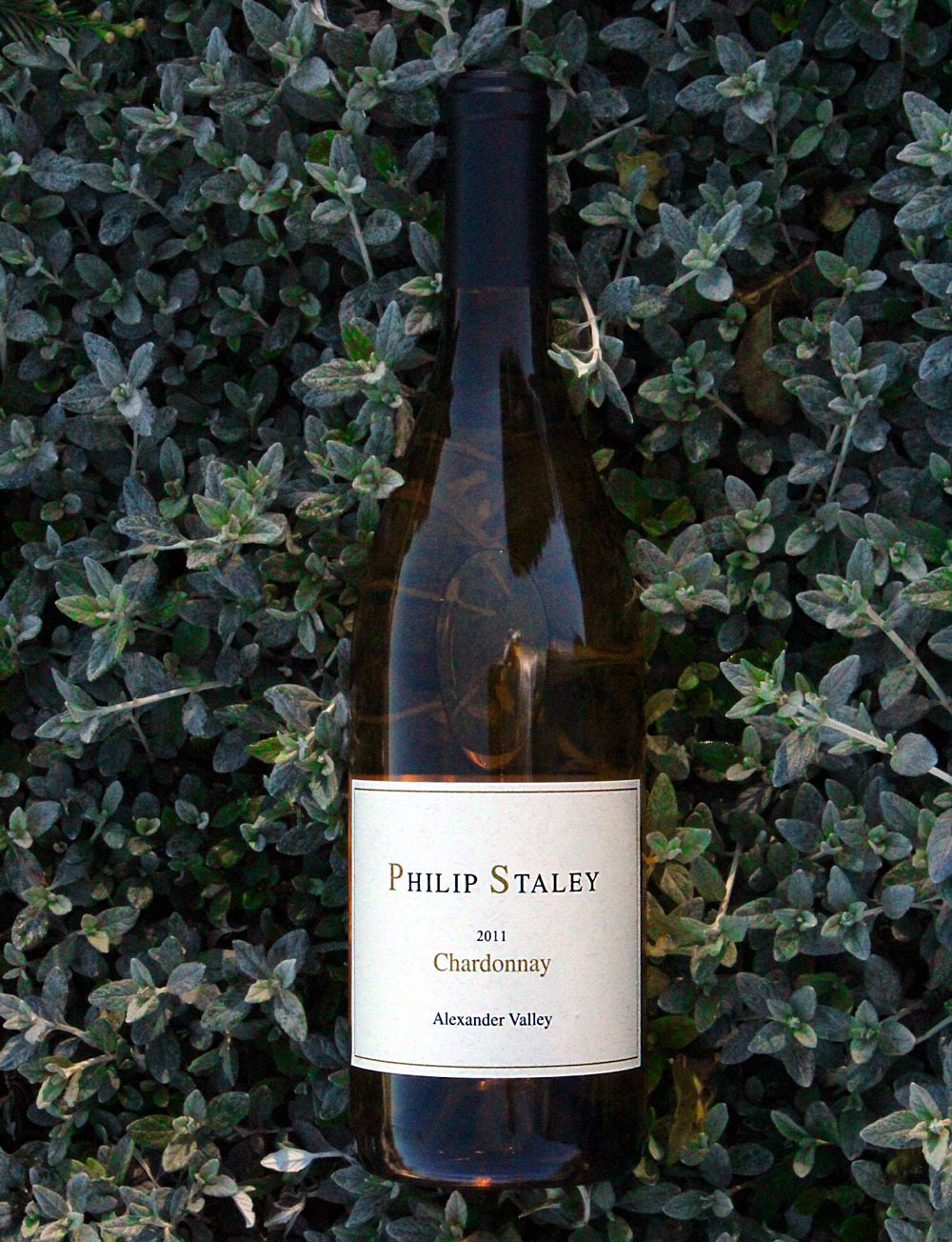 Stayley Vineyards & Winery 2011 Alexander Valley Chardonnay 750ml Wine Bottle