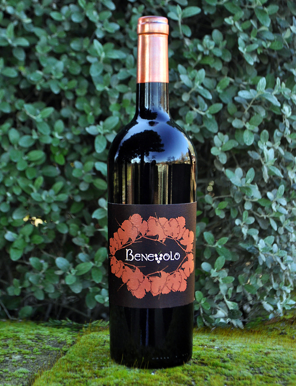 Benevolo Wines 2009 Sonoma Valley Sangiovese 750ml Wine Bottle