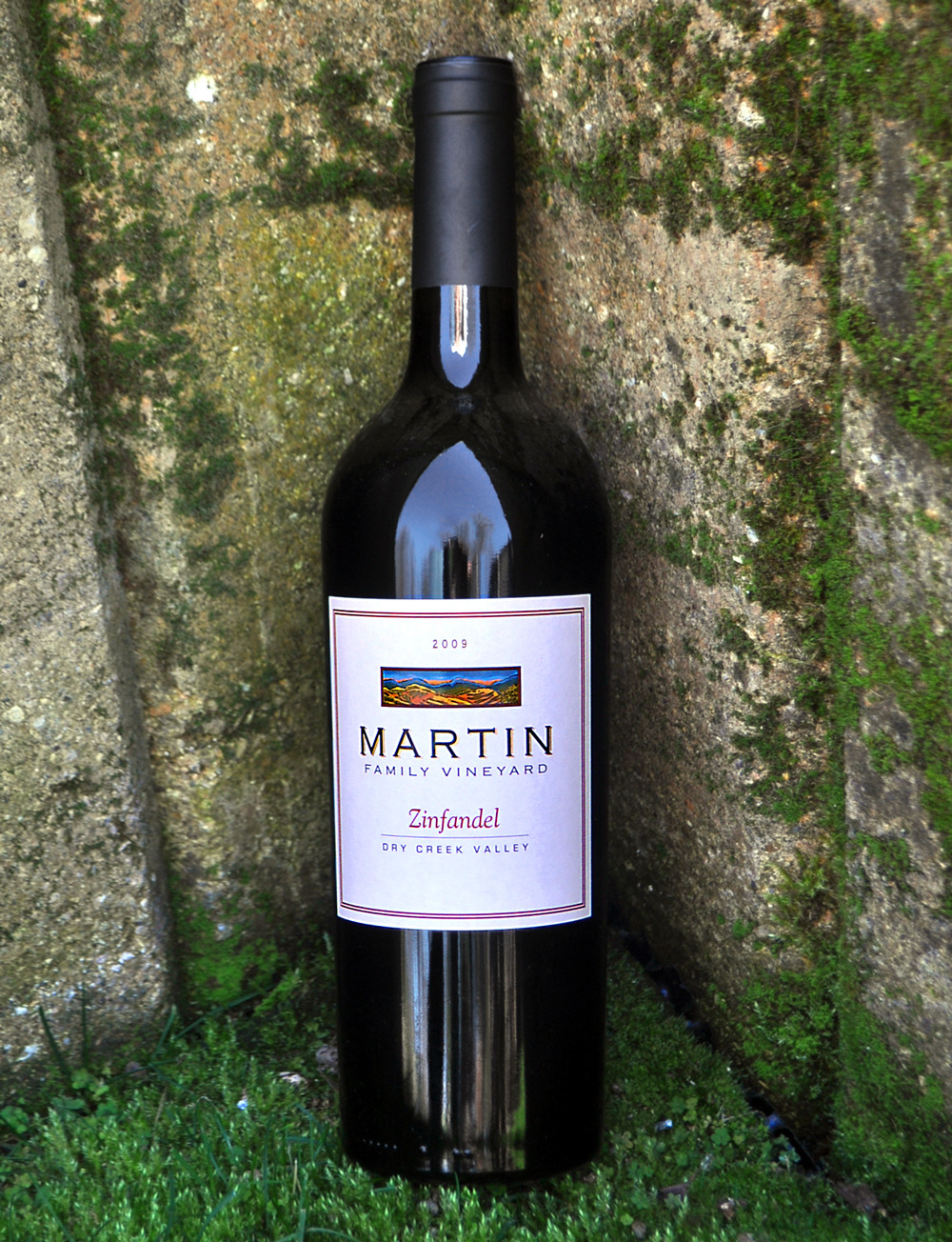 Martin Family Vineyards 2009 Zinfandel 750ml Wine Bottle