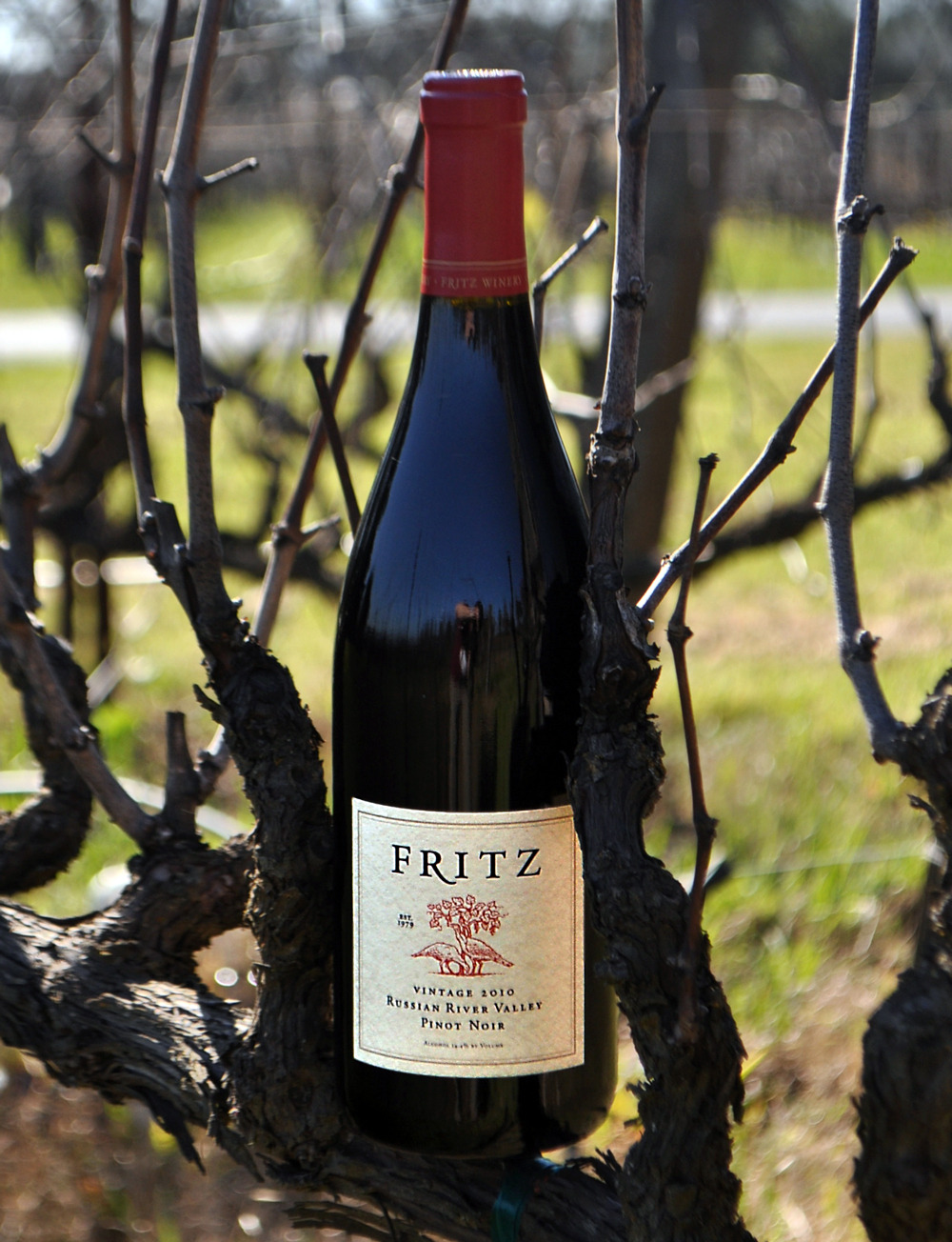 Fritz Underground Winery 2010 Russian River Pinot Noir 750ml Wine Bottle