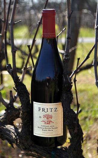 Fritz Underground Winery 2010 Russian River Pinot Noir 750ml Wine Bottle