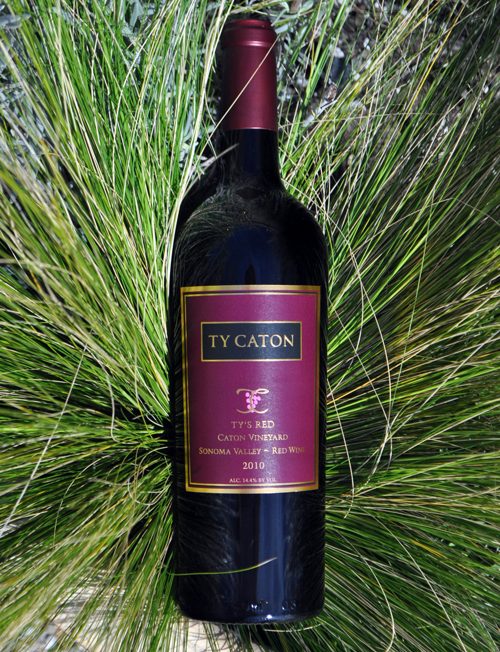 Ty Caton 2010 Ty's Red 750ml Wine Bottle