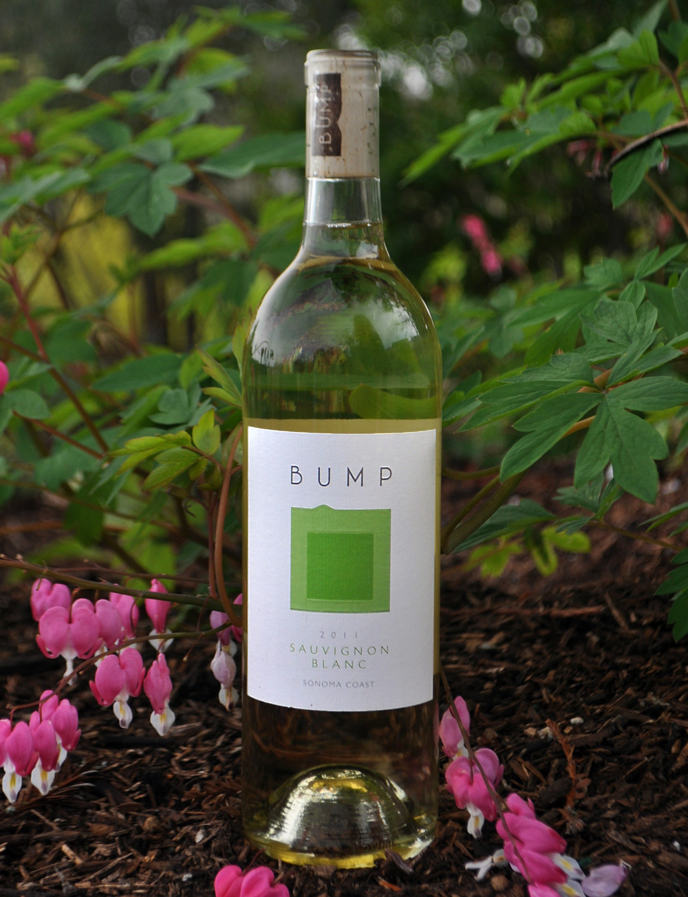 Bump Wine Cellars 2011 Sauvignon Blanc 750ml Wine Bottle