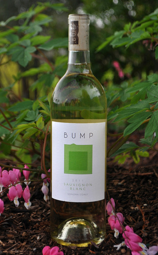 Bump Wine Cellars 2011 Sauvignon Blanc 750ml Wine Bottle