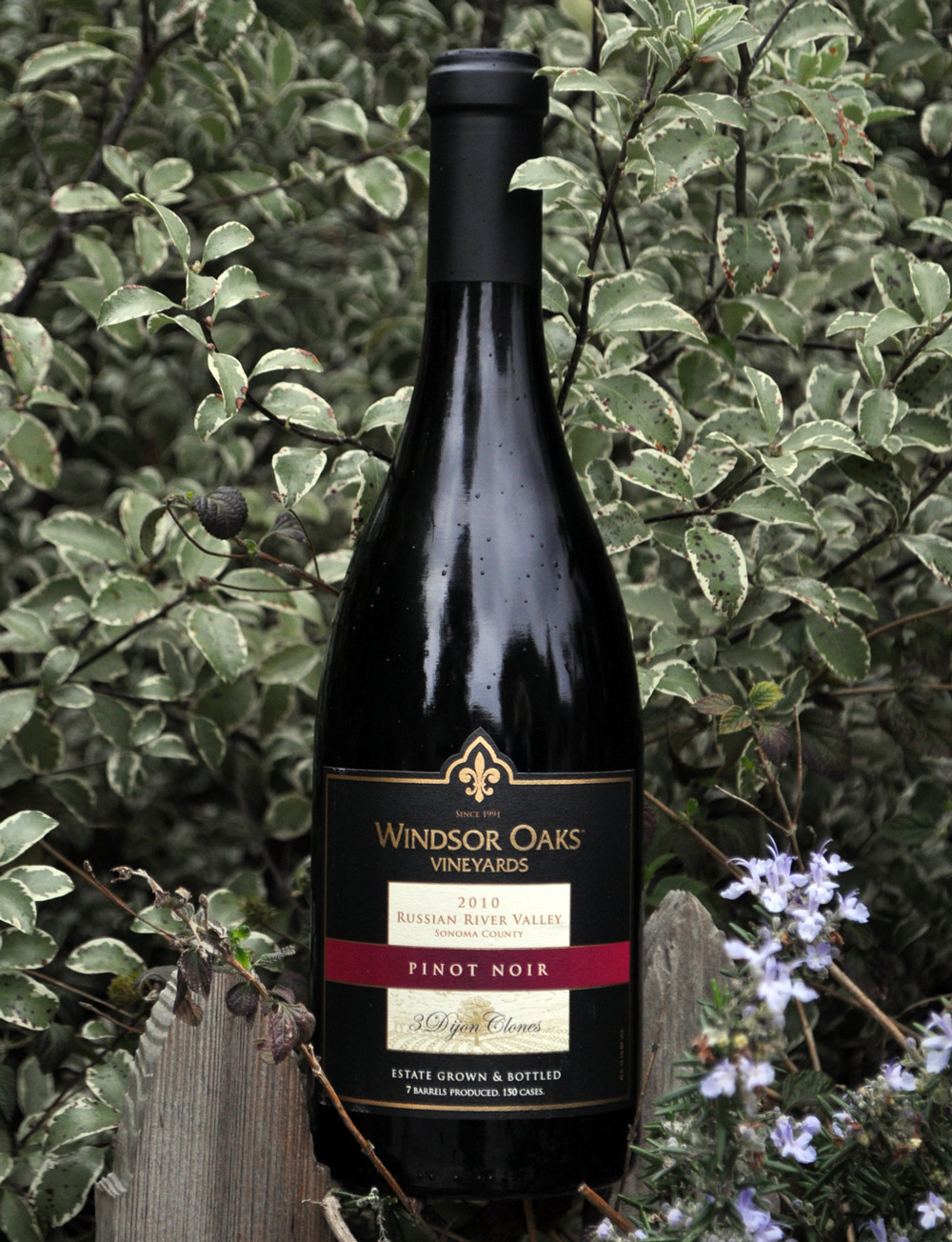 Windsor Oaks Vineyards 2010 3 Dijon Clones Pinot Noir 750ml Wine Bottle