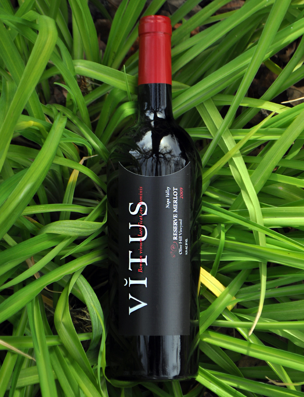 Vitus Wines 2009 Reserve Merlot 750ml Wine Bottle
