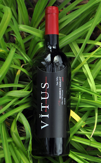 Vitus Wines 2009 Reserve Merlot 750ml Wine Bottle