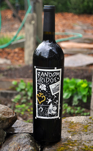 Random Ridge 2008 Cabernet Sauvignon 750ml Wine Bottle