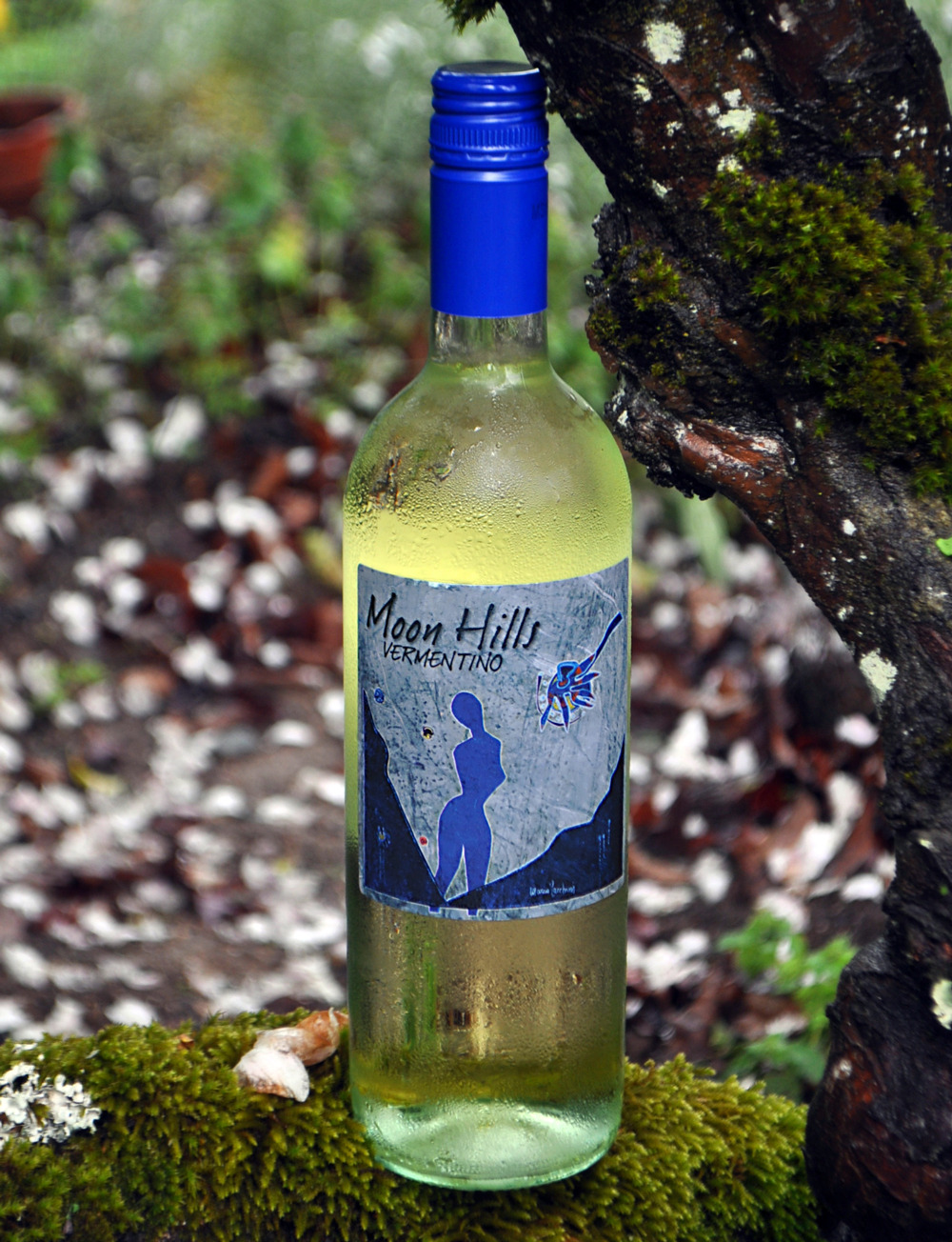 Moon Hills 2010 Vermentino 750ml Wine Bottle