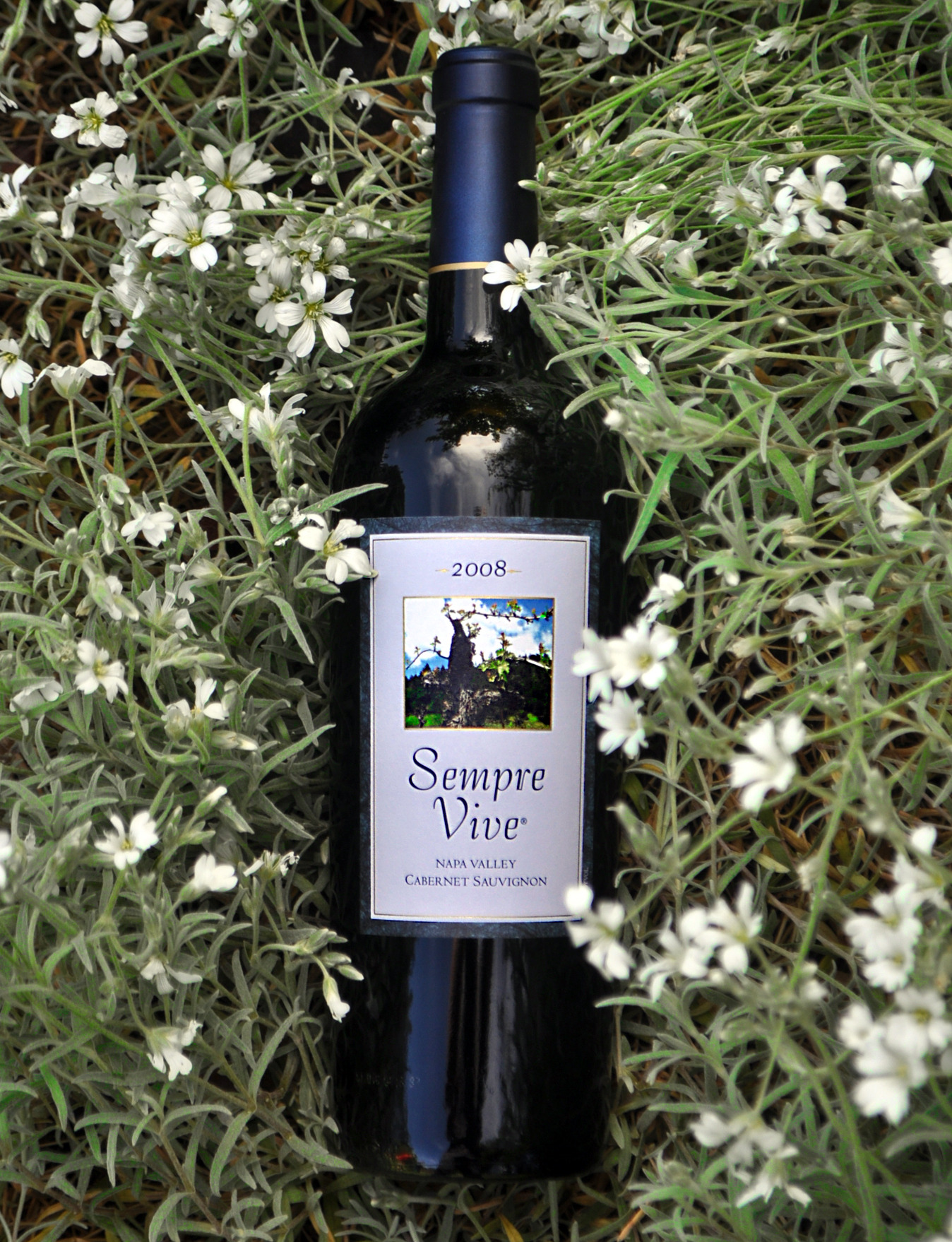 Romeo Vineyards 2008 Cabernet Sauvignon 750ml Wine Bottle